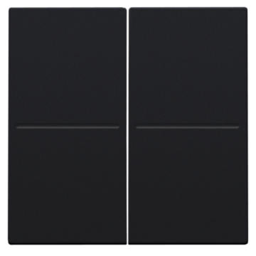 Niko 161-00060 tweevoudige toets voor het Hue systeem Black Coated