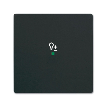 Busch-Jaeger 6234-10-885 Bedieningswip 1-voudig met symbool "Dimmer" Zwart mat