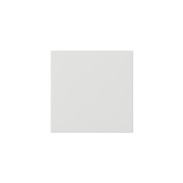 Gira 536027 System 3000 Opzetstuk bedieningselement System 55 Zuiver wit mat