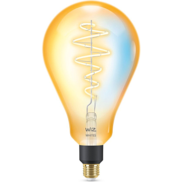 Wiz 929003018522 Filament Amber Warm tot Koelwit Licht PS160 E27 6W