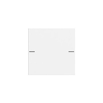 Gira 575127 Wippenset 1-voudig voor tastsensor 4 System 55 Zuiver wit mat