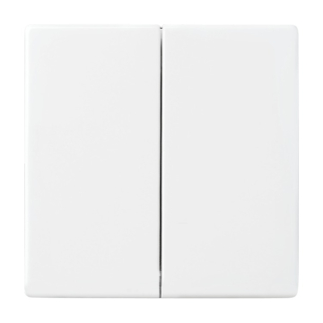 Busch Jaeger 6736 FoH-84 Friends of Hue Bedieningswip Future linear Studiowit 