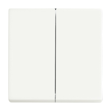 Busch Jaeger 6736 FoH-884 Friends of Hue Bedieningswip Future linear Studiowit mat