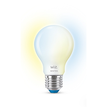 Wiz 929003008922 Warm tot koelwit licht A60 E27 7W