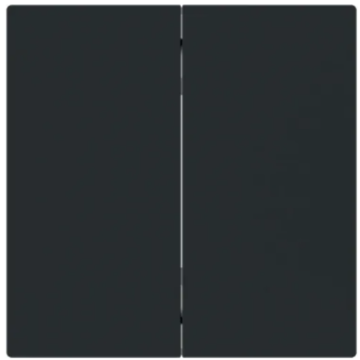 Busch Jaeger 6736 FoH-45M Bedieningswip 2-voudig voor serie Busch-art linear Zwart mat