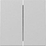 Gira 3295015 Systeem 55 Wip 2-voudig Grijs mat