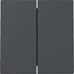 Gira 329528 Systeem 55 Wip 2-voudig Antraciet