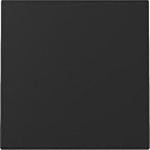 Gira 3296005 Systeem 55 Wip Zwart mat