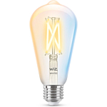 Wiz 929003018622 Filament Warm tot koelwit Licht E27 ST64 7W