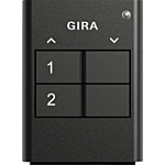 Gira 535210 eNet Draadloze handzender tweevoudig