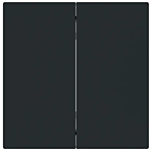 Busch Jaeger 6736 FoH-45M Bedieningswip 2-voudig voor serie Busch-art linear Zwart mat