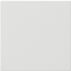 Gira 536027 System 3000 Opzetstuk bedieningselement System 55 Zuiver wit mat
