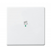 Busch-Jaeger 6233-10-84 Bedieningswip 1-voudig met symbool 