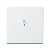 Busch-Jaeger 6234-10-84 Bedieningswip 1-voudig met symbool 