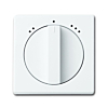 Busch Jaeger 1740 DRL-84-503 centraalplaat met draaigreep, met Symbool 