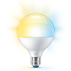 Wiz 929003782122 Warm tot koelwit licht G95 E27 11W