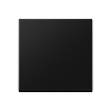 A 1700 BF SWM