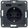 Berker 48141606 S.1/B.3/B.7 Wandcontactdoos met randaarde en steekklemmen en USB A+C Antraciet mat