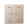 Jung HOME BT A 17102 P CH Taster 2-voudig met pijlsymbolen Champagne