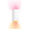 Wiz 929003210022 Up and Down Wandspot 2x 5W Gekleurd en Wit Licht Wit