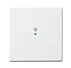 Busch Jaeger 6231-10-84 Bedieningswip 1-voudig met symbool 