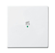 Busch-Jaeger 6233-10-84 Bedieningswip 1-voudig met symbool 