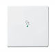 Busch-Jaeger 6234-10-84 Bedieningswip 1-voudig met symbool 