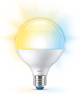 Wiz 929003782122 Warm tot koelwit licht G95 E27 11W
