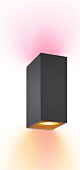 Wiz 929003210222 Up and Down Wandspot 2x 5W Gekleurd en Wit Licht Zwart