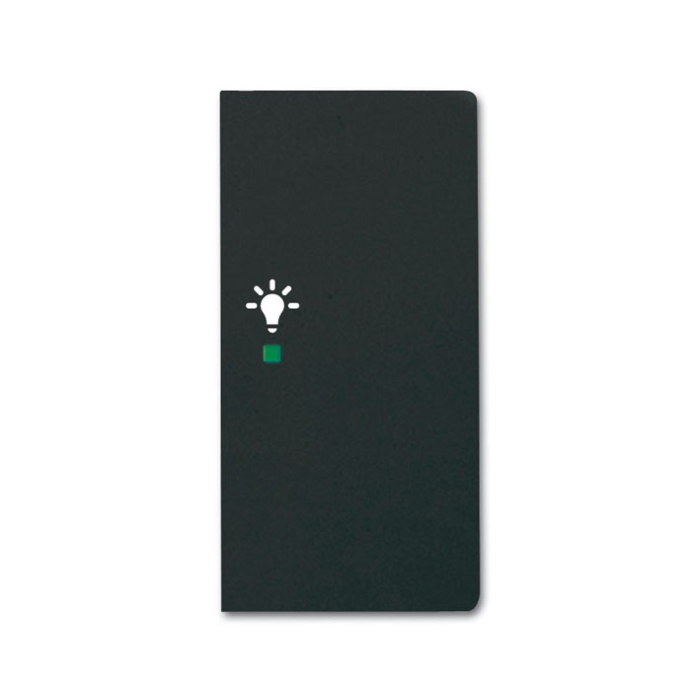Busch-Jaeger 6231-22-885 Bedieningswip 2-voudig rechts met symbool "Licht" Zwart mat