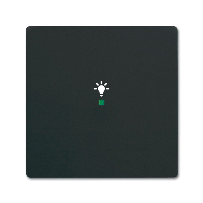 Busch Jaeger 6220-0-0499 Bedieningswip 1-voudig met symbool "Licht" Zwart mat