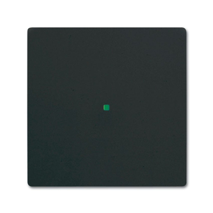Busch Jaeger 6230-10-885 Bedieningswip 1-voudig zonder bedrukking Zwart mat 