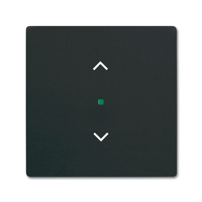 Busch-Jaeger 6232-10-885 Bedieningswip 1-voudig met symbool "Jaloezie" Zwart mat