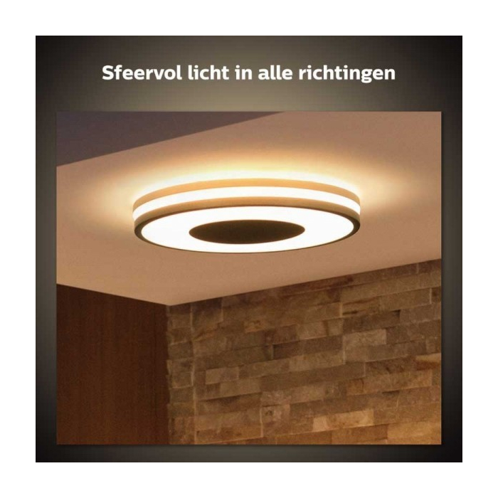 Philips 929003055101 Hue Being Plafondlamp White Ambiance Zwart inclusief DIM Switch