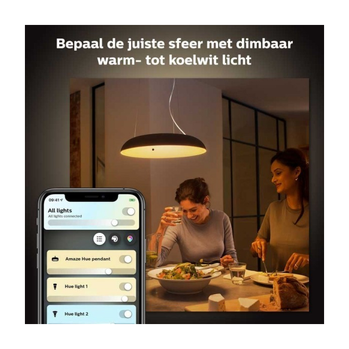 Philips 929003054901 Hue Amaze hanglamp Zwart White Ambiance inclusief DIM Switch