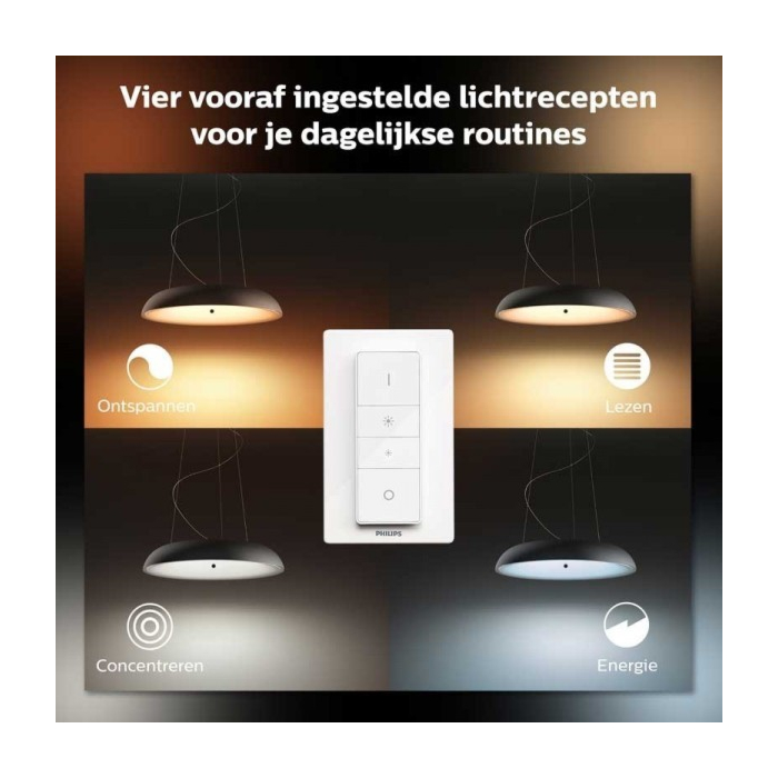 Philips 929003054901 Hue Amaze hanglamp Zwart White Ambiance inclusief DIM Switch