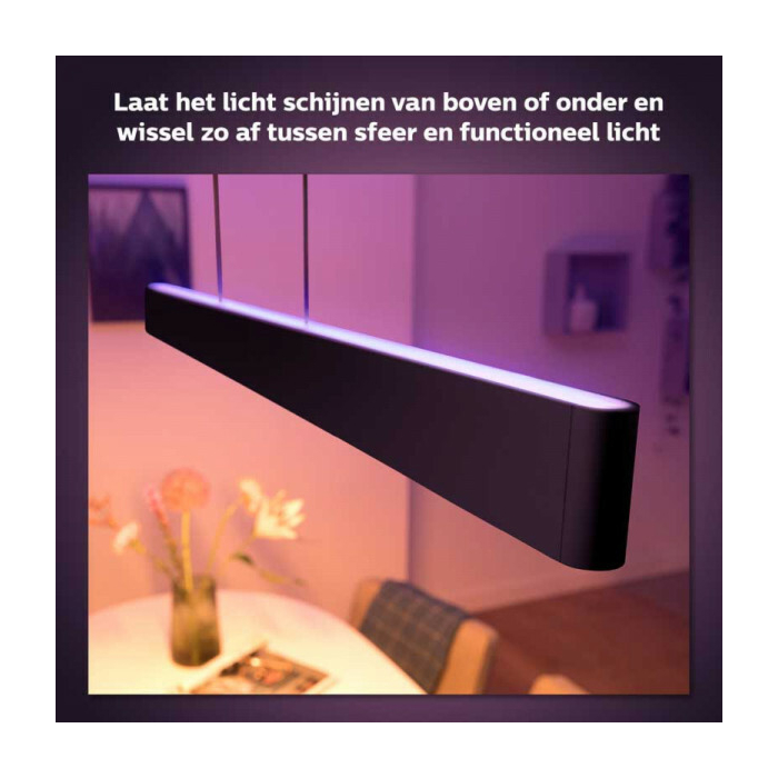 Philips 929003052501 Hue Ensis Hanglamp White and Color Zwart
