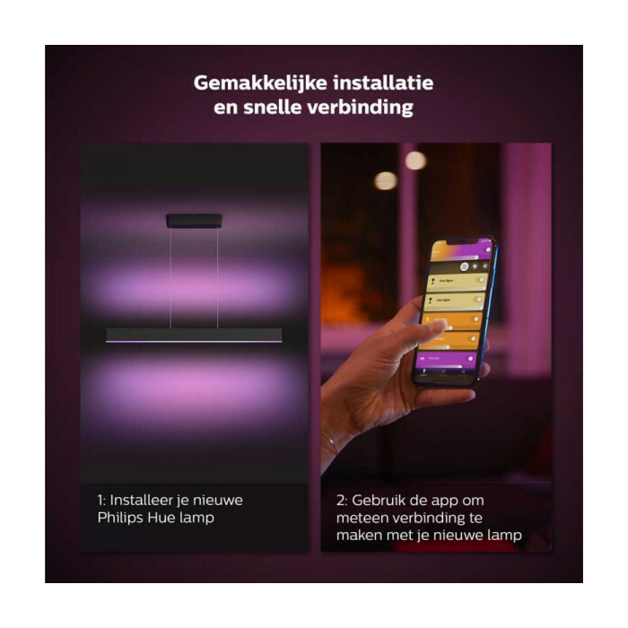 Philips 929003052501 Hue Ensis Hanglamp White and Color Zwart