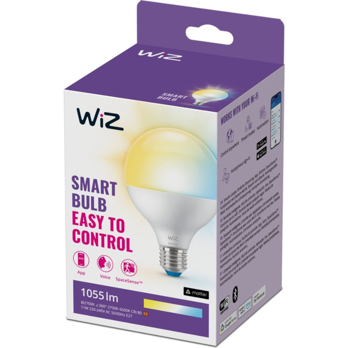 Wiz 929003782122 Warm tot koelwit licht G95 E27 11W