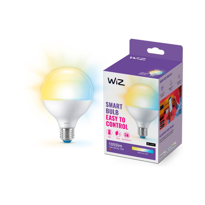 Wiz 929003782122 Warm tot koelwit licht G95 E27 11W