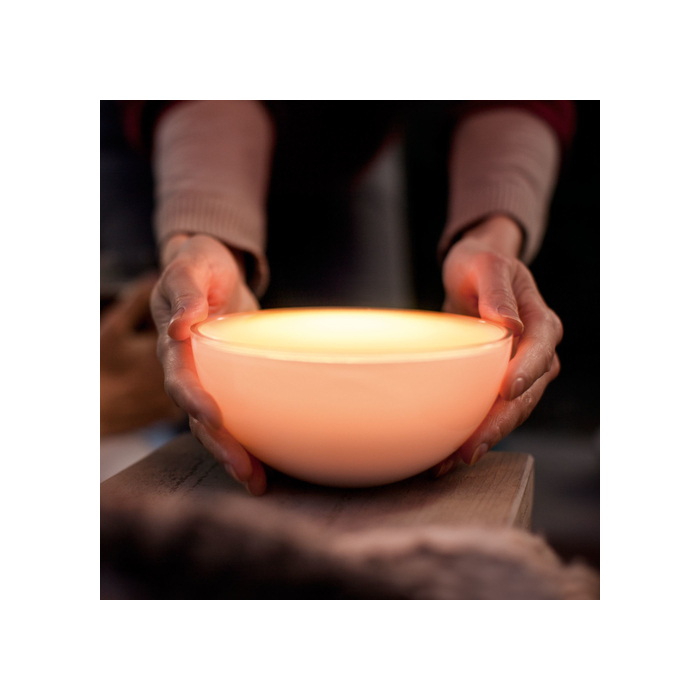Philips 915005821901 Hue Go V2 Tafellamp