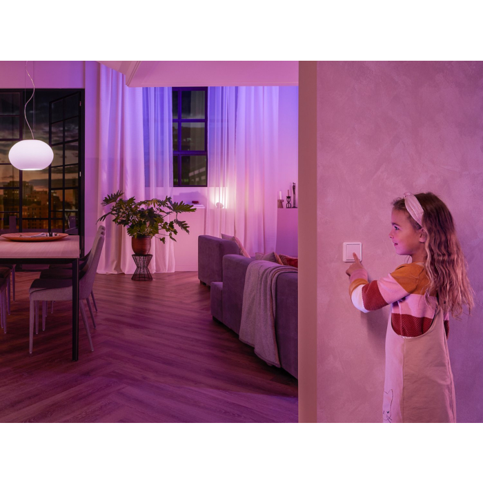 Philips 929003017101 Hue Wandschakelaarmodule (single pack)