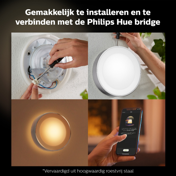 Philips 915005843301 Hue Outdoor Daylo Wandlamp RVS