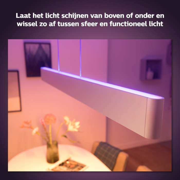 Philips 929003053301 Hue Ensis Hanglamp White and Color Wit