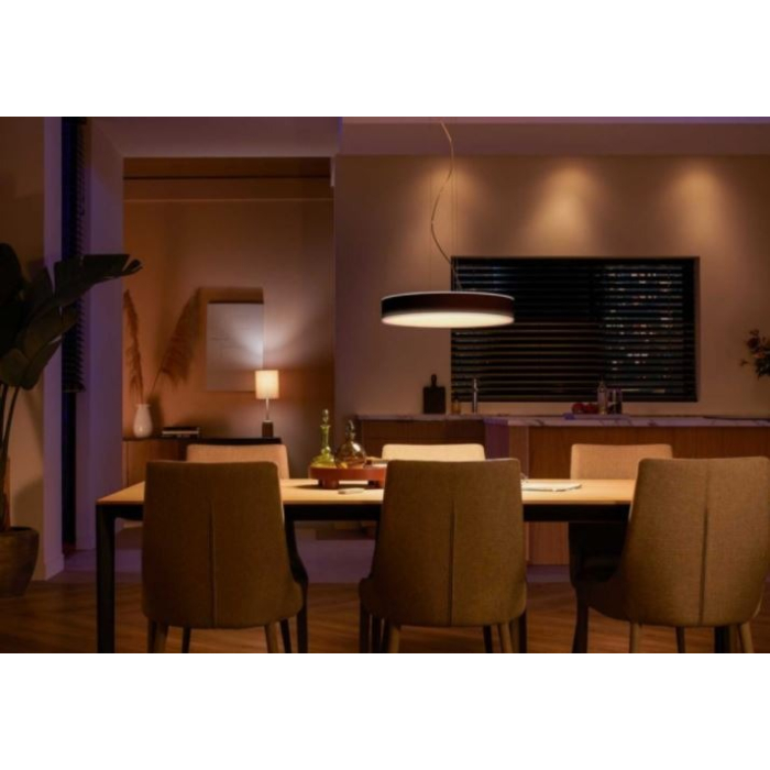 Philips 915005998101 Hue Enrave Zwart Hanglamp White ambiance