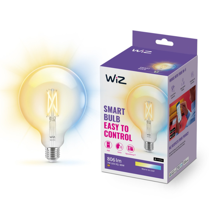 Wiz 929003017822 Filament Globe Warm tot koelwit Licht E27 G125 7W
