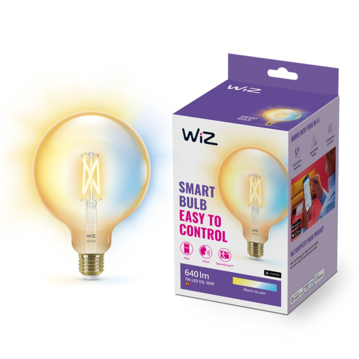 Wiz 929003018322 Filament Amber Warm tot Koelwit Licht G95 E27 7W