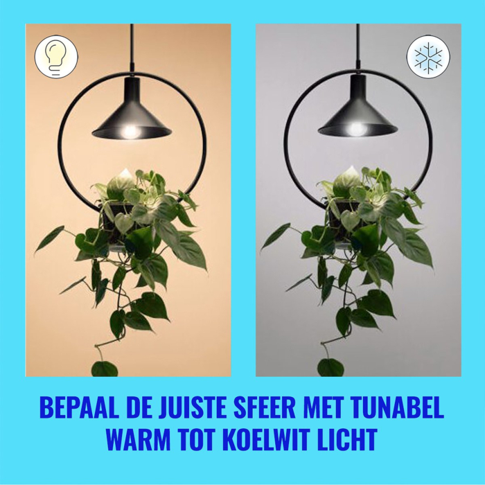 Wiz 929003714001 Filament Warm tot koelwit Licht E27 A60 4,3W