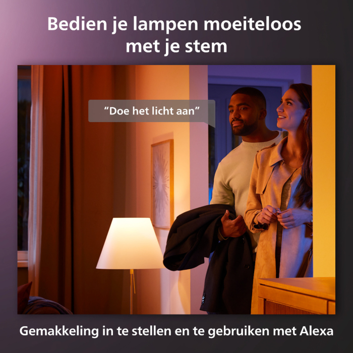Philips 929003674402 Hue Festavia lichtsnoer 20 meter 250 LED's