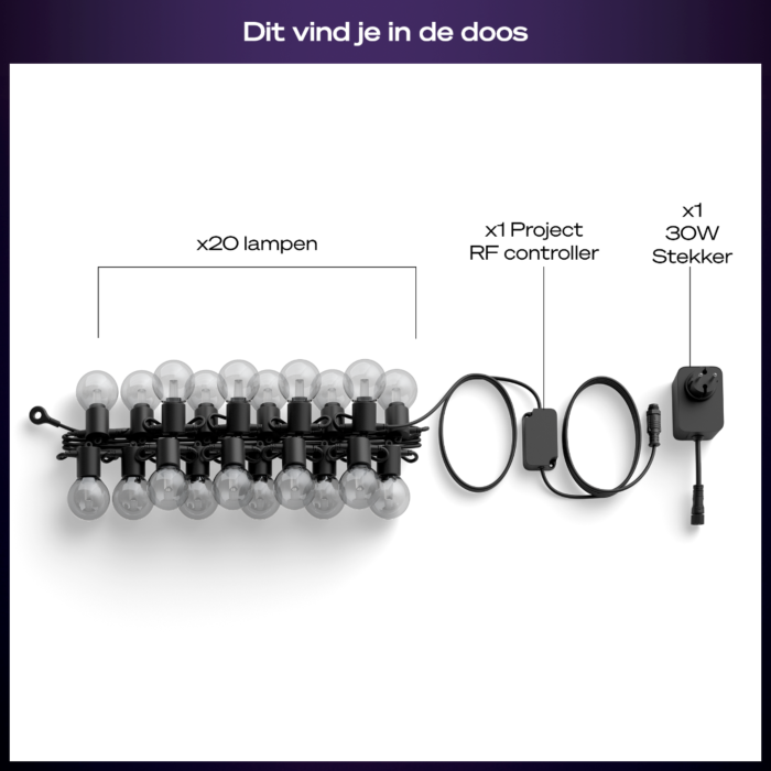 Philips Hue Festavia lichtslinger voor buiten met bolvormige lampen 14 meter